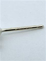 Tiffany & Co. Silver Earrings 925 Silver 1.8g